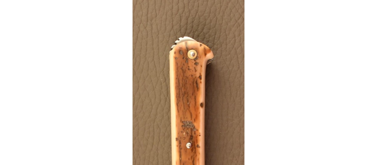 French gentleman knife 5 Coqs knife Damascus Range Fossilized Mammoth Ivory