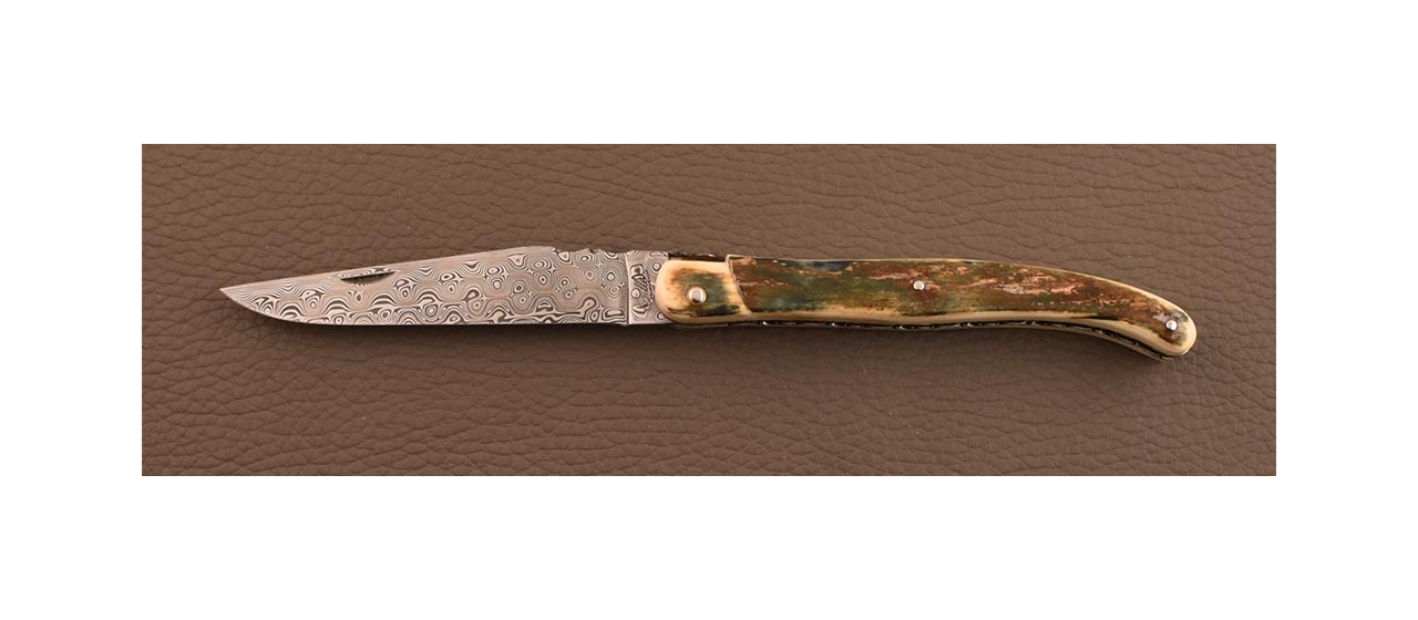 Collector's Laguiole knife made in France