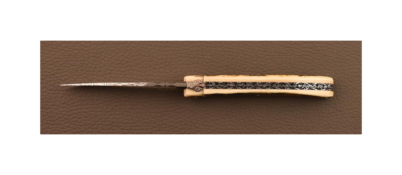 Collector's Laguiole knife made in France