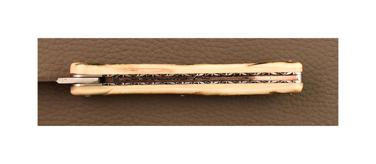 Collector's Laguiole knife made in France