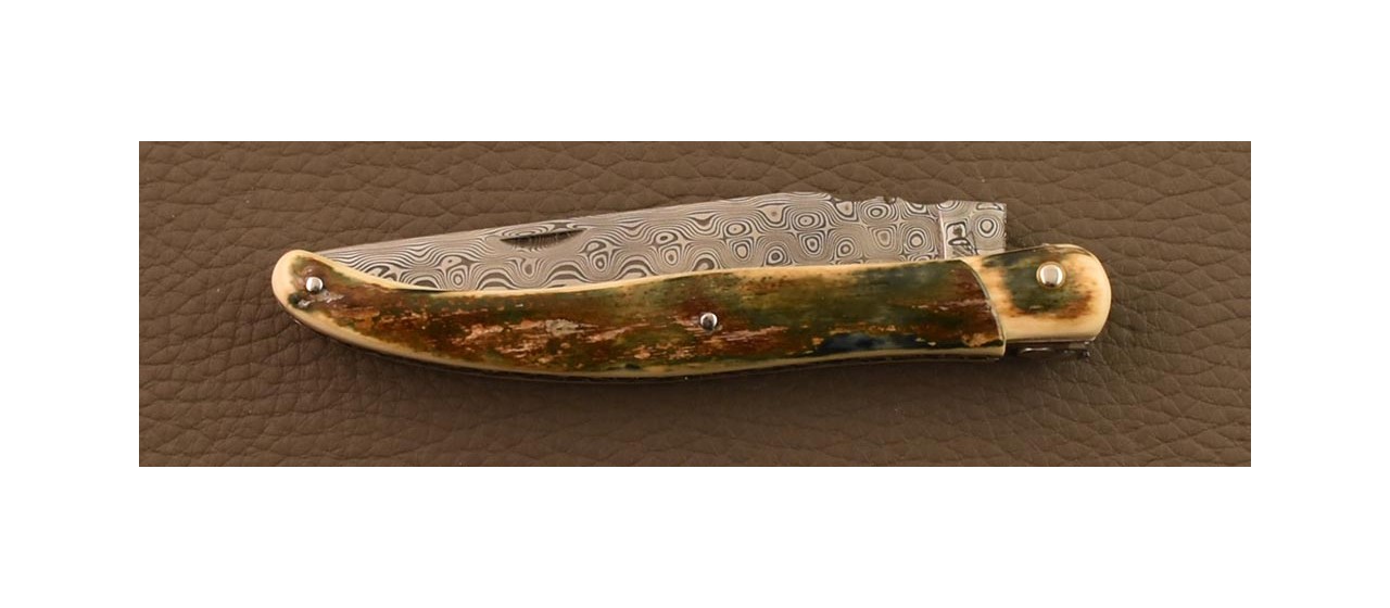 Collector's Laguiole knife made in France