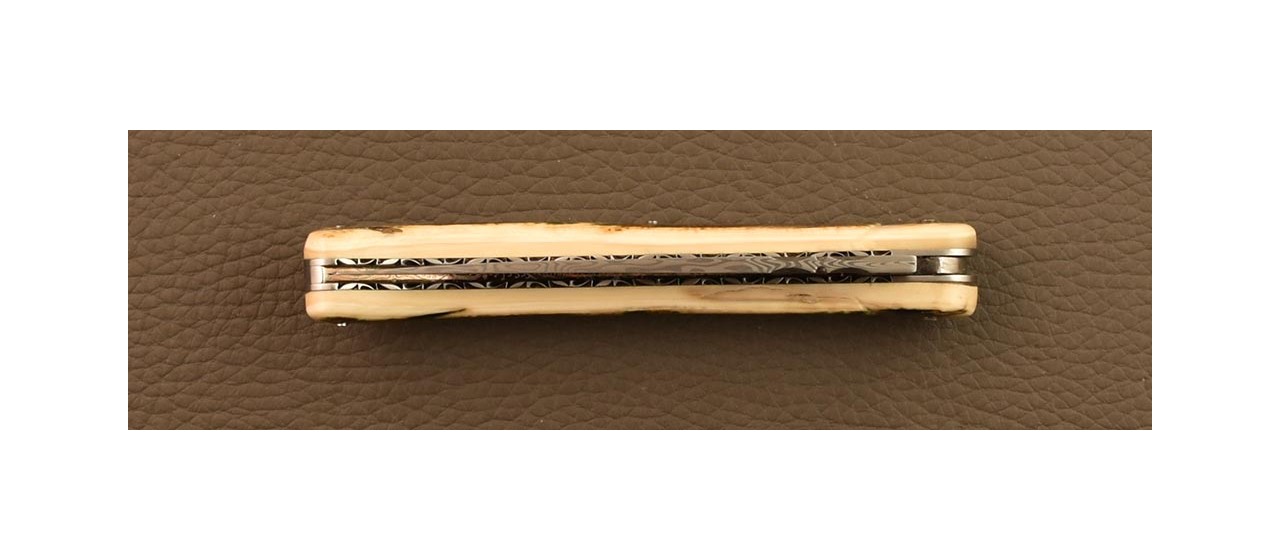 Collector's Laguiole knife made in France