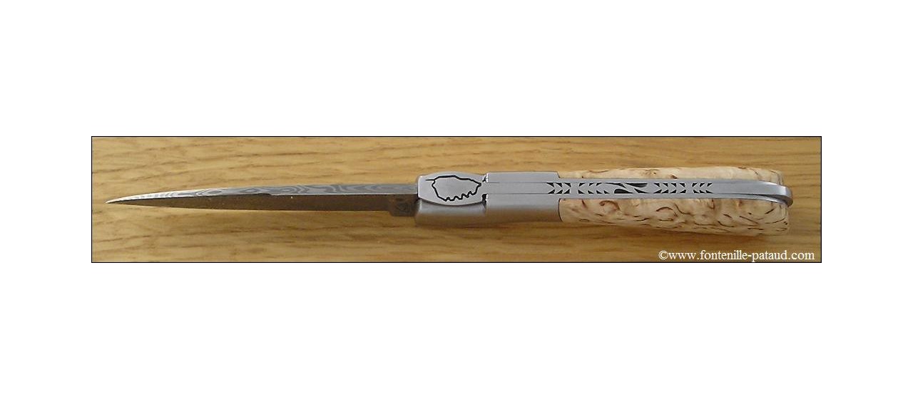Corsican Pialincu knife Damascus range Curly birch