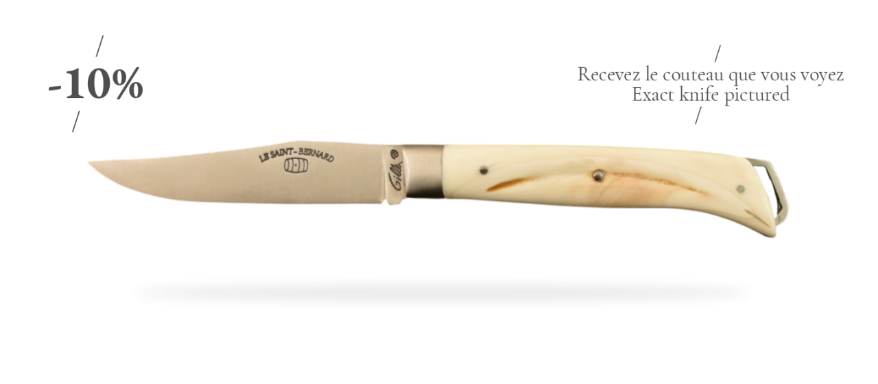 Le Saint-Bernard 11 cm Classic Range Warthog