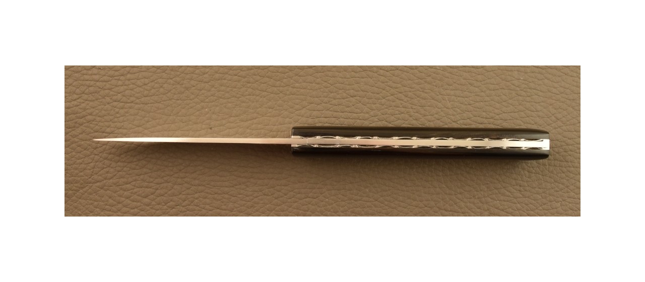 Lombard Buffalo Horn Tip Knife