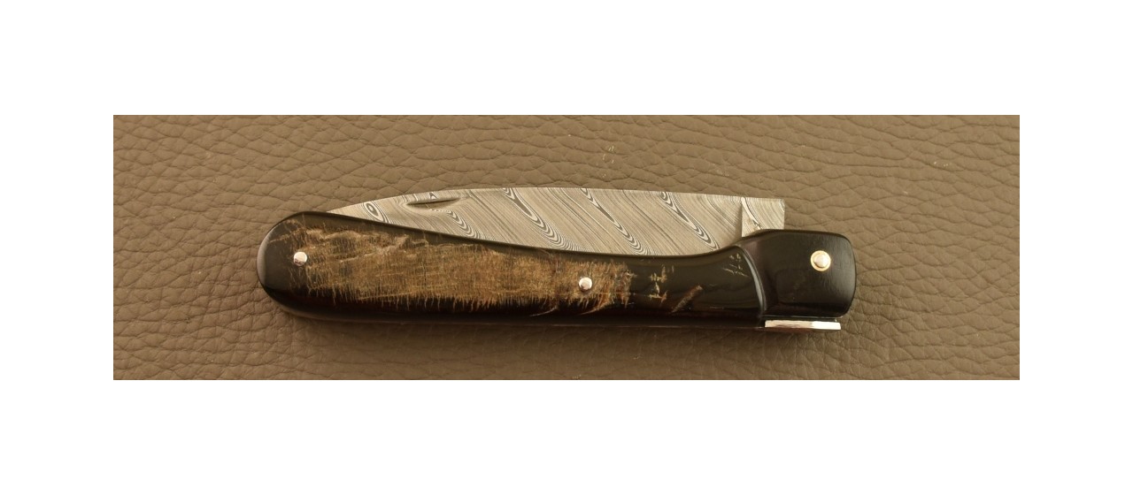 Corsican Vendetta Damascus Range Full handle Buffalo bark Knife