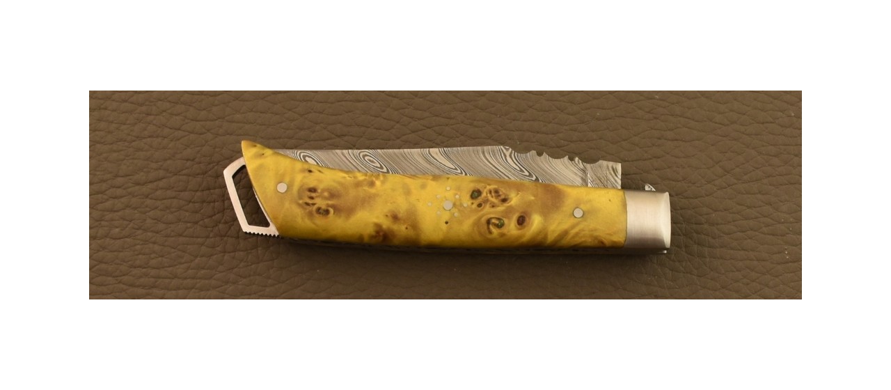 Couteau Le Saint-Bernard 11 cm Damas Loupe de Peuplier Verte