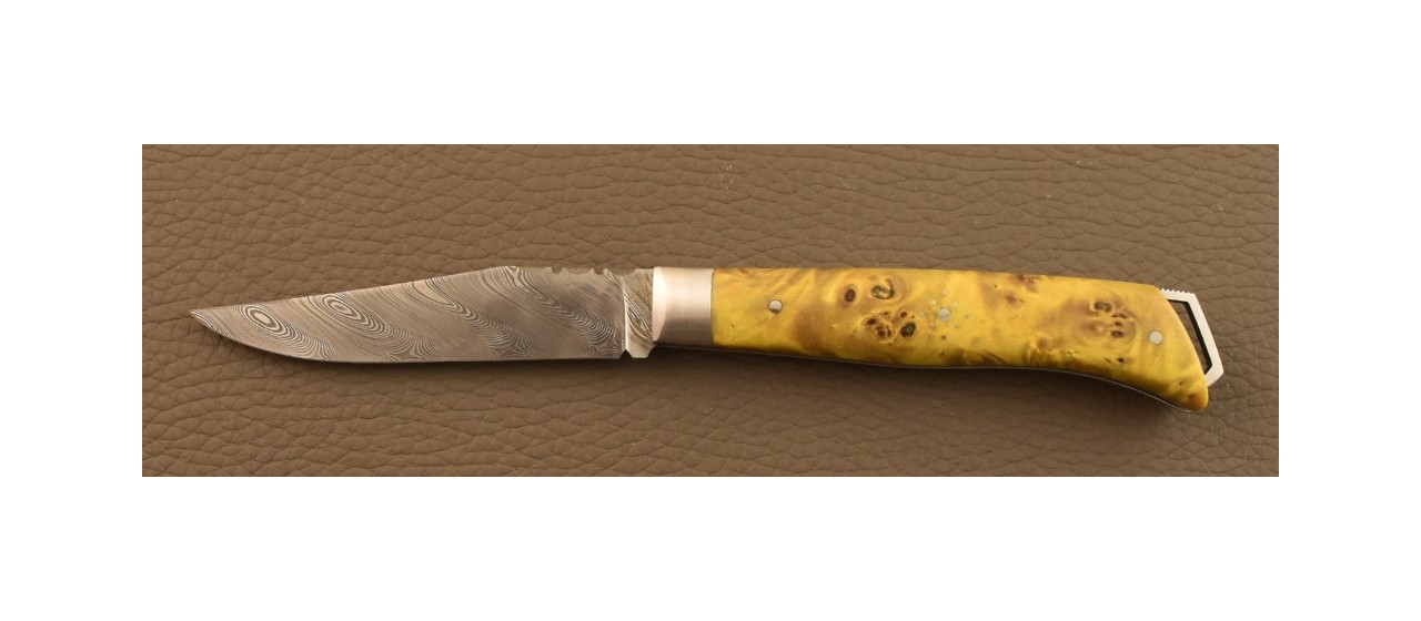 Le Saint-Bernard 11 cm Damascus Range Stabilized Green poplar burl knife