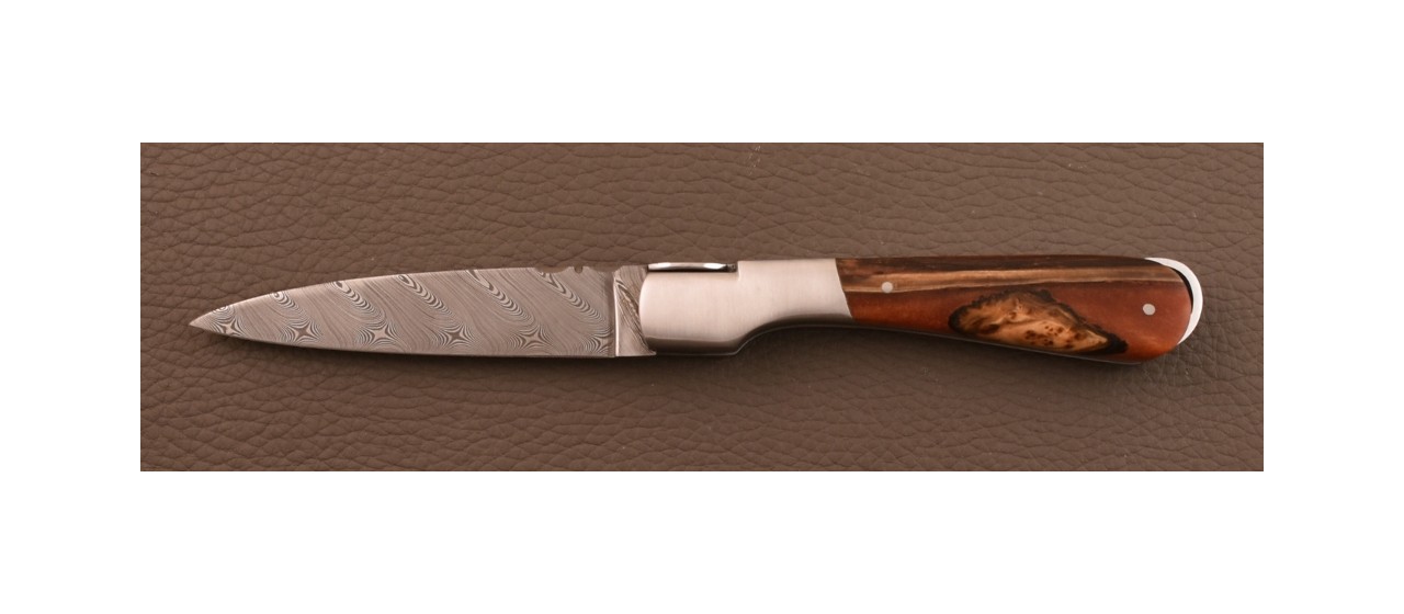 Corsican Sperone Damascus Range Hybrid Juniper burl knife