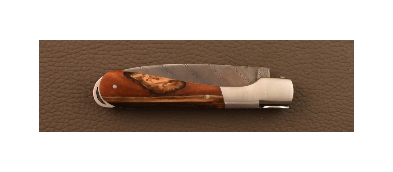 Corsican Sperone Damascus Range Hybrid Juniper burl knife