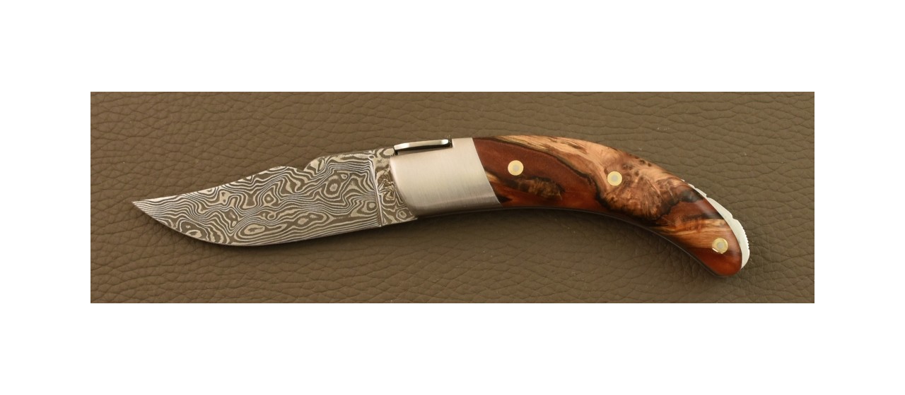 Corsican Rondinara Damascus Range Hybrid Juniper burl knife