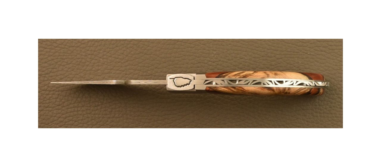 Corsican Rondinara Damascus Range Hybrid Juniper burl knife