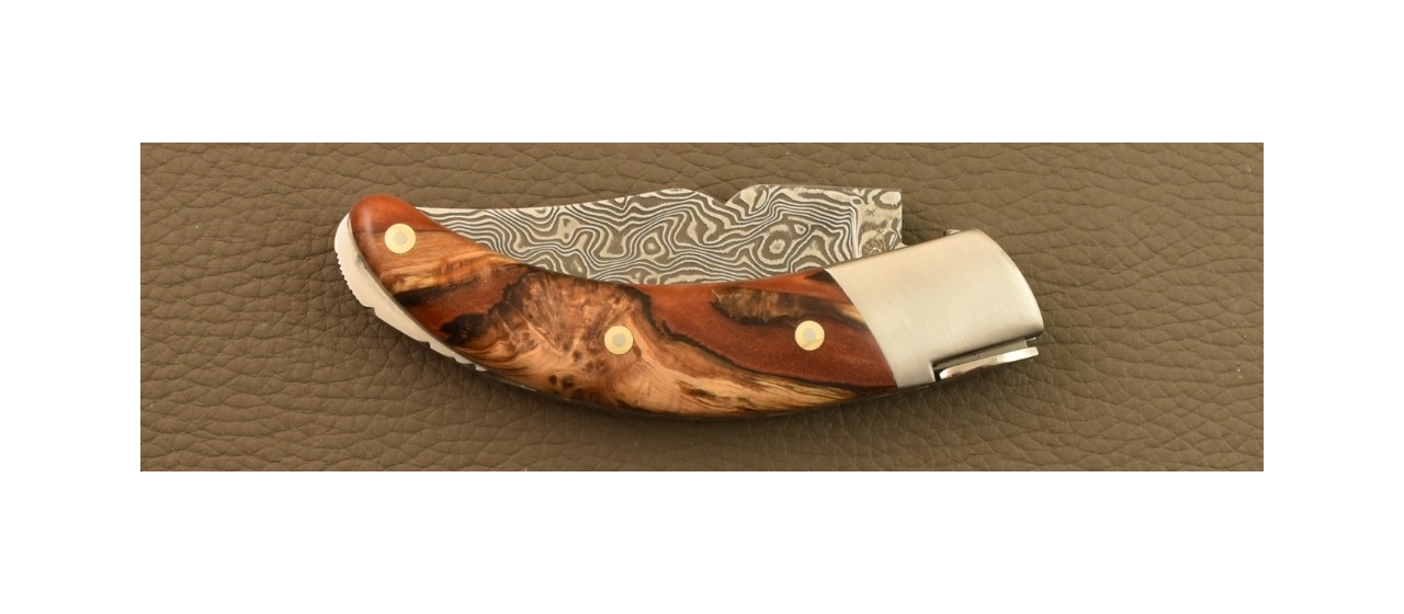 Corsican Rondinara Damascus Range Hybrid Juniper burl knife