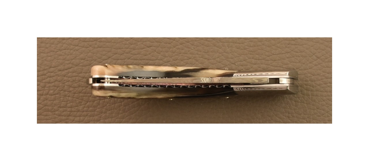 Corsican Rondinara knife Damascus Range Ram horn Delicate file work