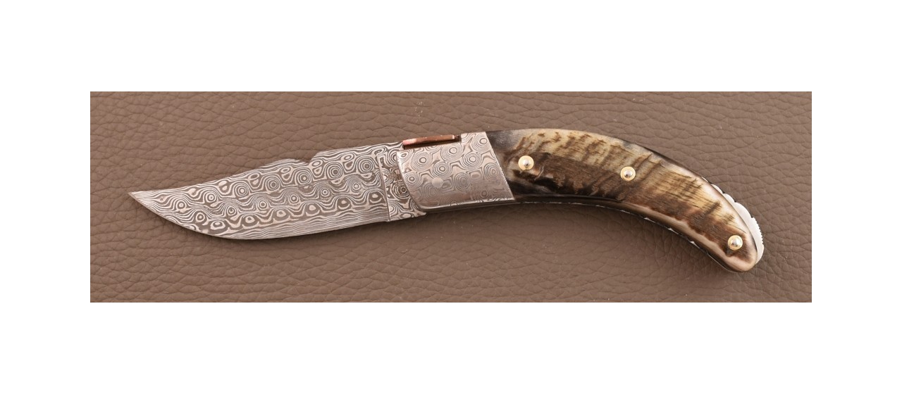Corsican Rondinara knife Damascus Range Ram horn Delicate file work
