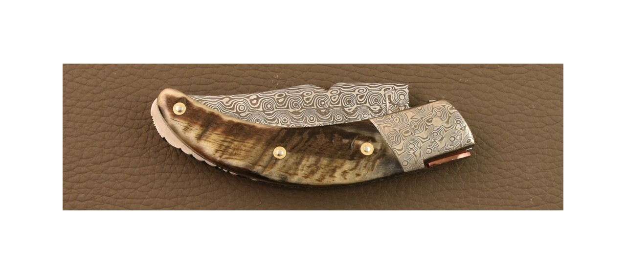 Corsican Rondinara knife Damascus Range Ram horn Delicate file work