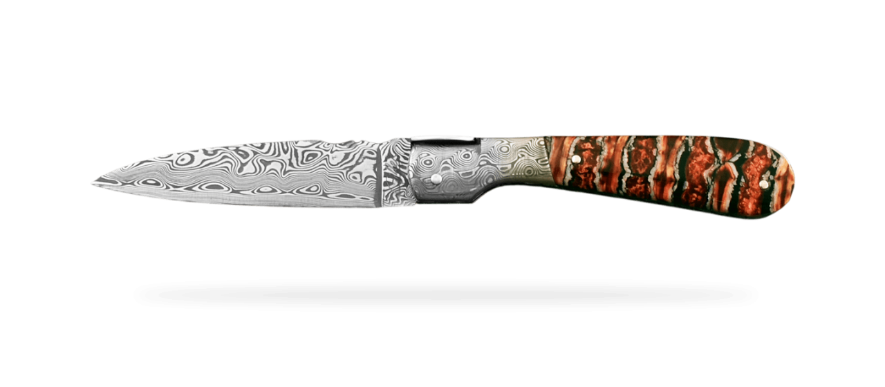 Corsican Pialincu Damascus range Red molar tooth of mammoth Delicate file work
