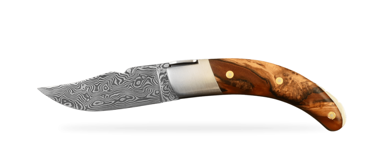 Corsican Rondinara Damascus Range Hybrid Juniper burl