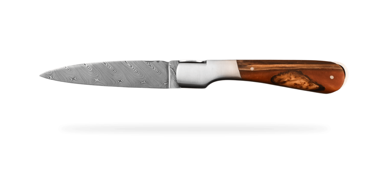 Corsican Sperone Damascus Range Hybrid Juniper burl