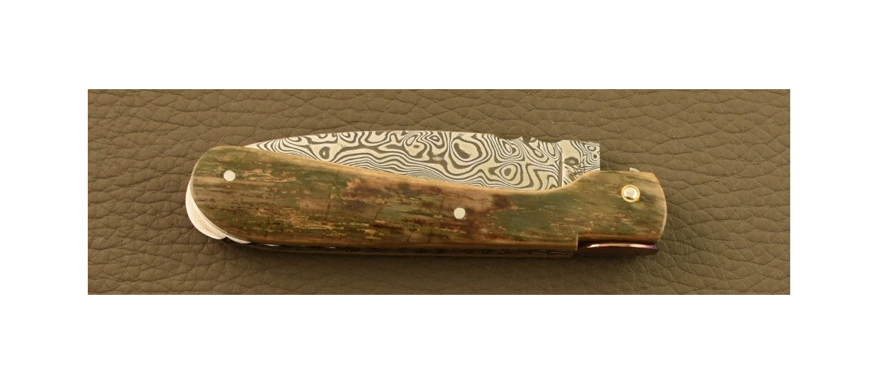 Couteau Pialincu Corse Damas Plein Manche Mammouth Bleu, Guillochage fin