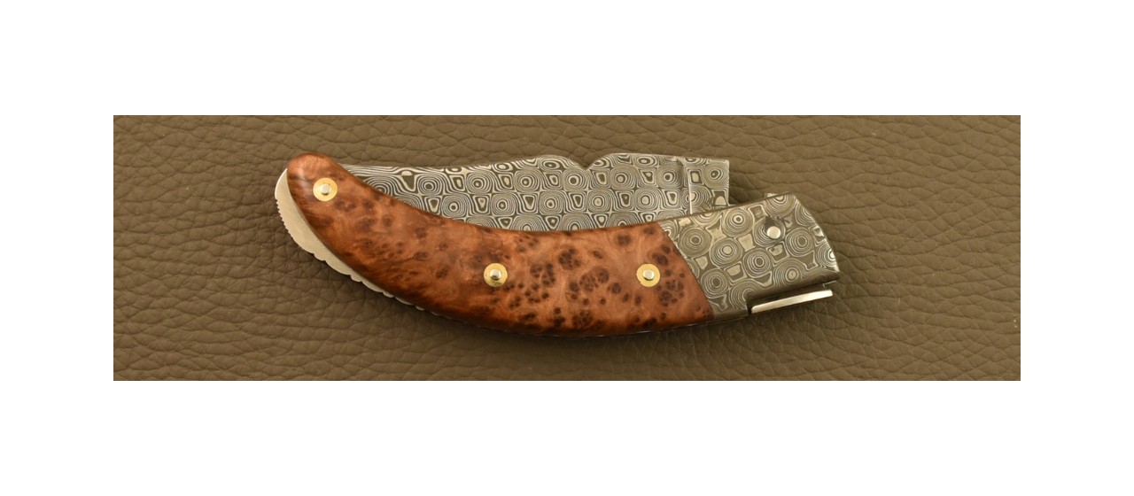 Couteau Le Rondinara Damas Loupe de Thuya Guillochage Fin