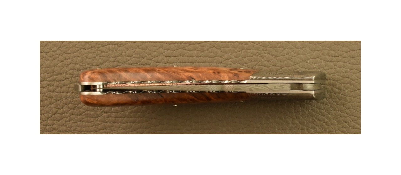 Couteau Le Rondinara Damas Loupe de Thuya Guillochage Fin