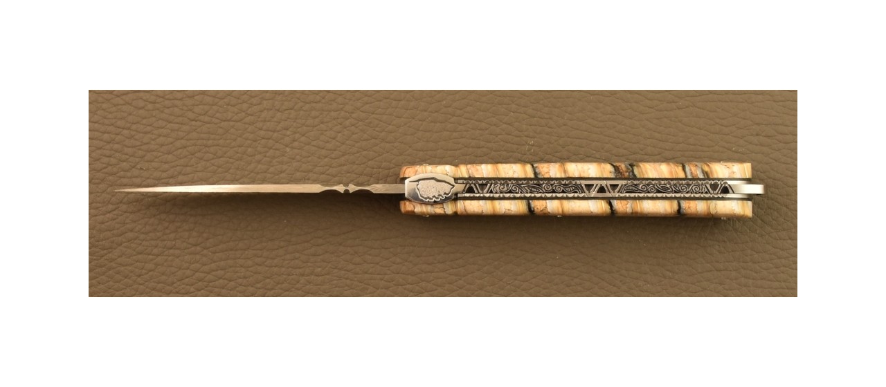 Couteau Sperone Corse Damas Plein Manche Molaire de Mammouth, Guillochage Fin
