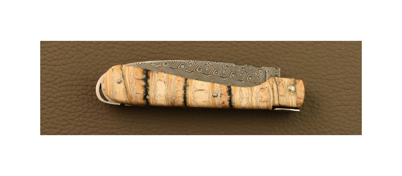Couteau Sperone Corse Damas Plein Manche Molaire de Mammouth, Guillochage Fin