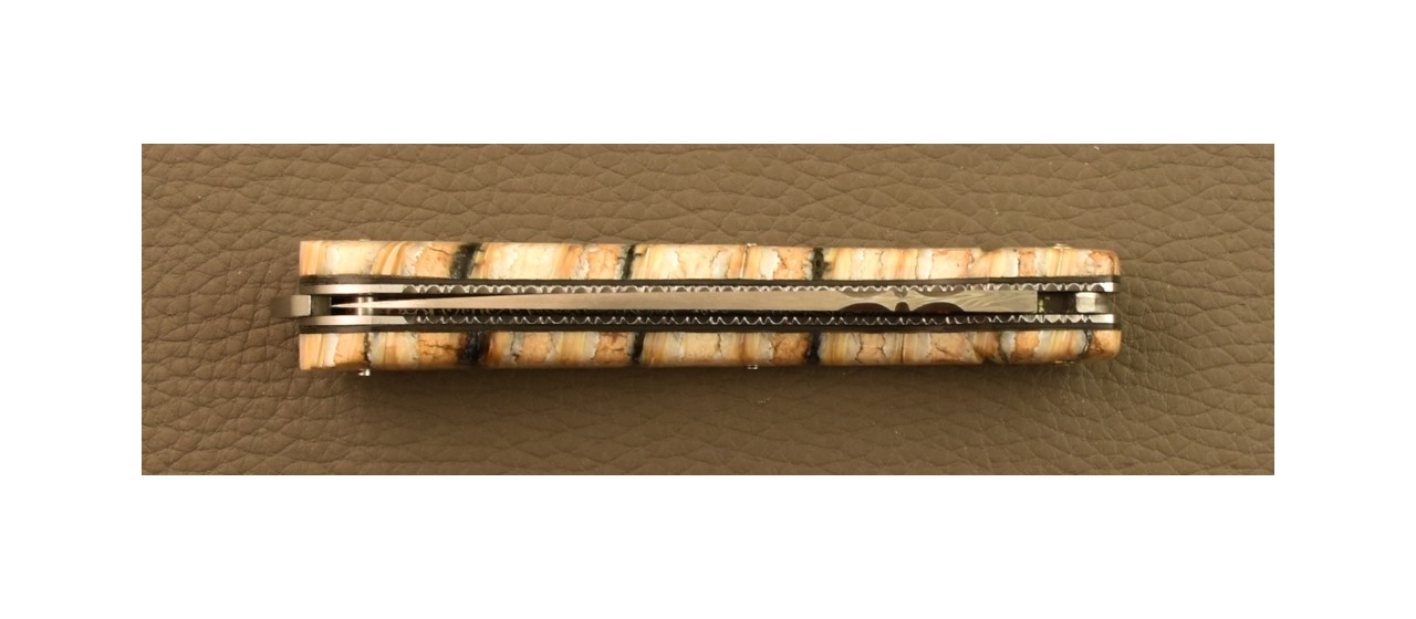 Couteau Sperone Corse Damas Plein Manche Molaire de Mammouth, Guillochage Fin