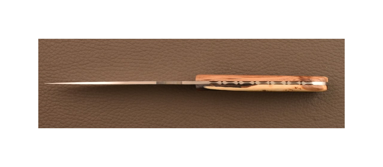 Boîte de 2 couteaux Eleganza Corsa Hybride Genévrier