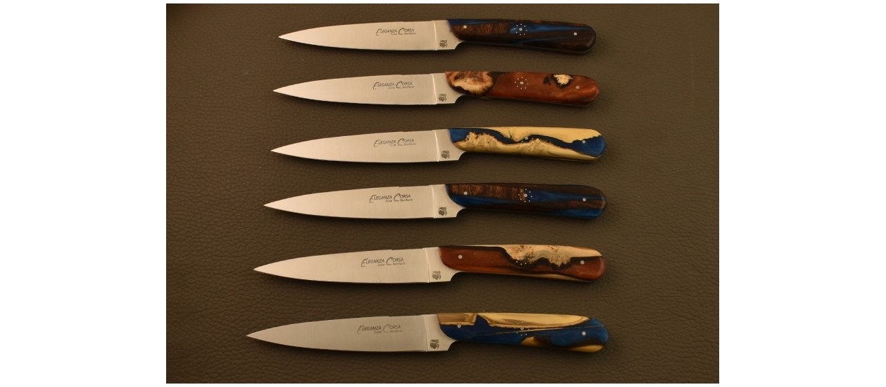 Boîte de 6 couteaux Eleganza Corsa Hybrides