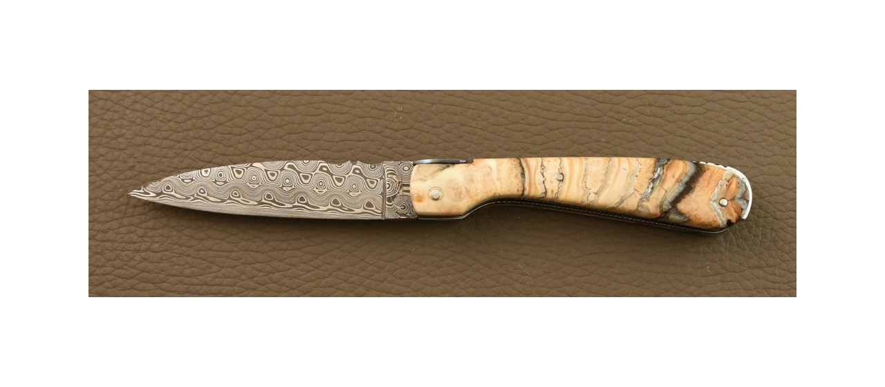 Corsican knife Pialincu Damascus range Full handle Molar tooth of Mammoth, Delicate file work