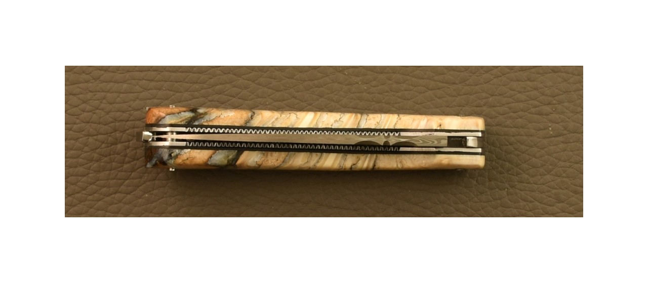 Couteau Pialincu Corse Damas Plein Manche Molaire de Mammouth, Guillochage fin