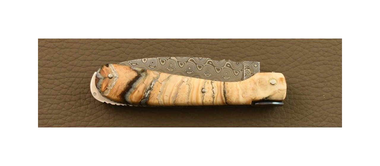 Corsican knife Pialincu Damascus range Full handle Molar tooth of Mammoth, Delicate file work