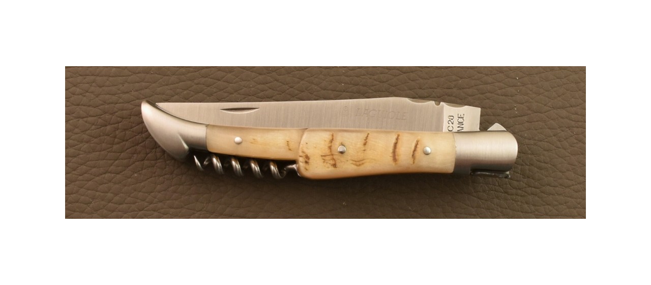 Laguiole Traditional 12 cm Corkscrew & Awl Ram horn knife