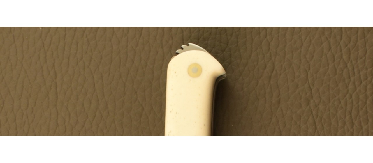 5 Coqs knife Classic Range Black Buffalo Horn and Real bone