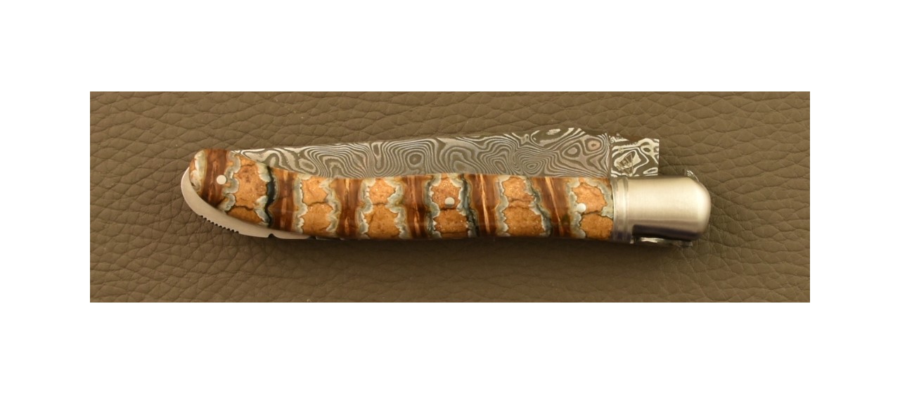Laguiole Nature knife Damascus Range Molar tooth of Mammoth