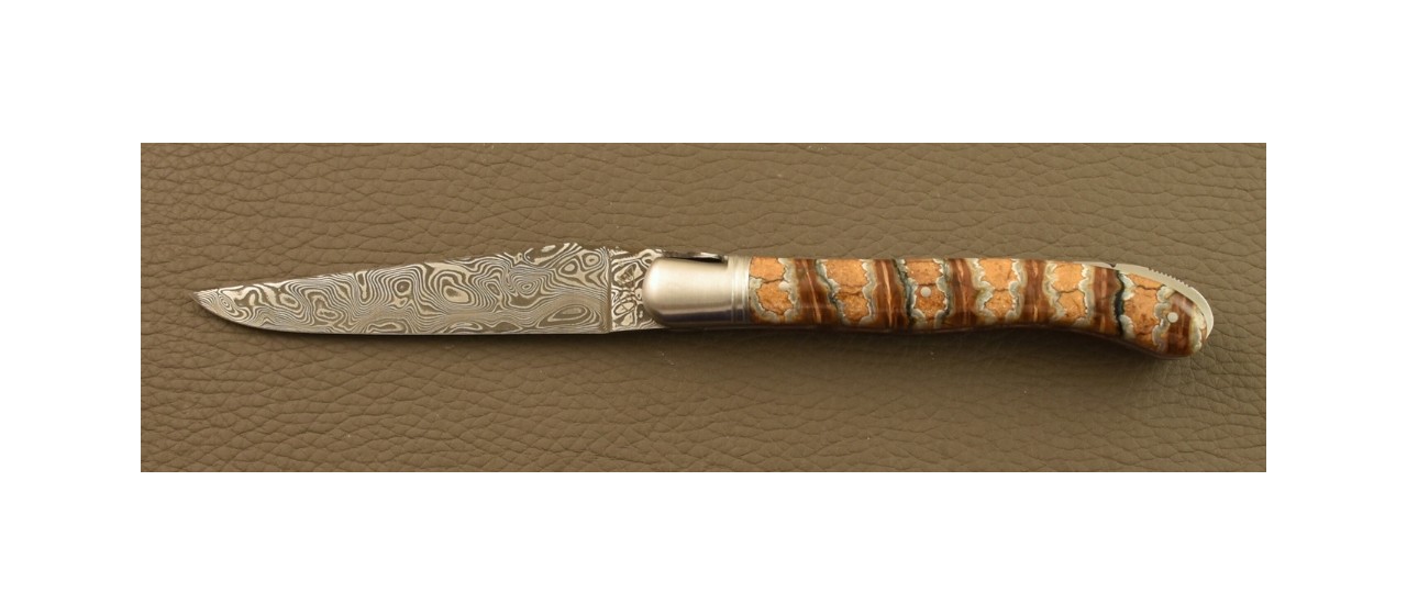 Laguiole Nature knife Damascus Range Molar tooth of Mammoth