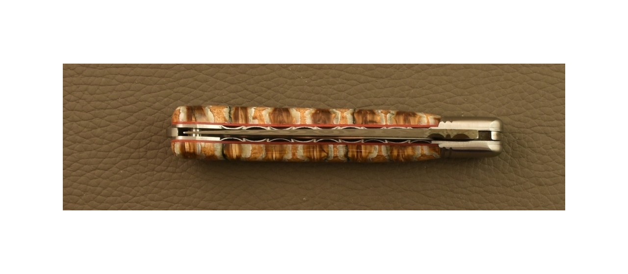 Couteau Laguiole Nature Damas Molaire de Mammouth