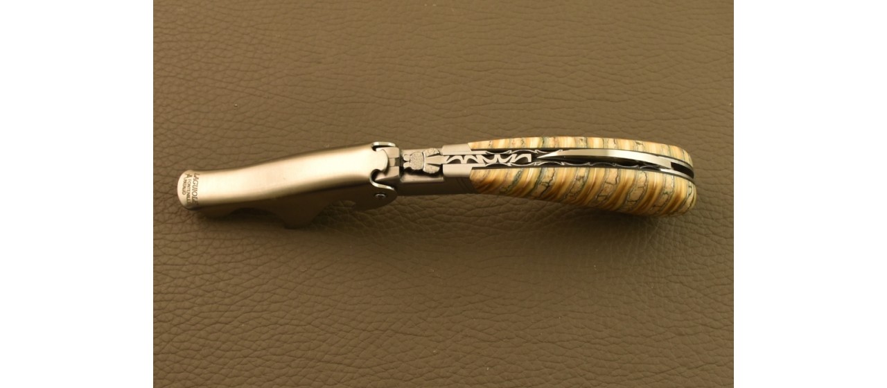 Sommelier Laguiole Magnum Guilloché Molaire de mammouth fossile beige