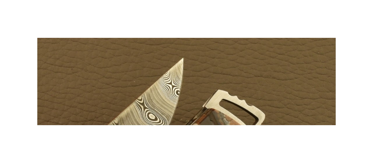 Le Thiers® Gentleman Knife Damascus Molar tooth of mammoth