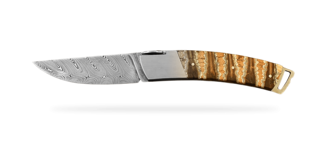 Le Thiers® Gentleman Damas Molaire de mammouth