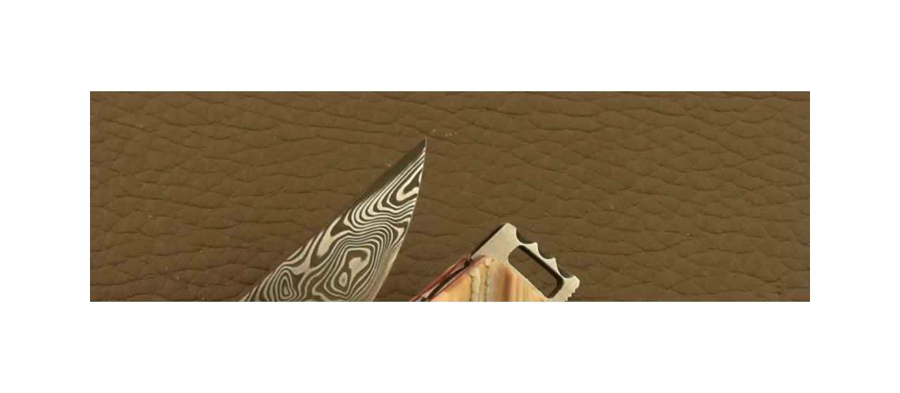 Le Thiers® Pocket Knife Damascus Molar tooth of Mammoth