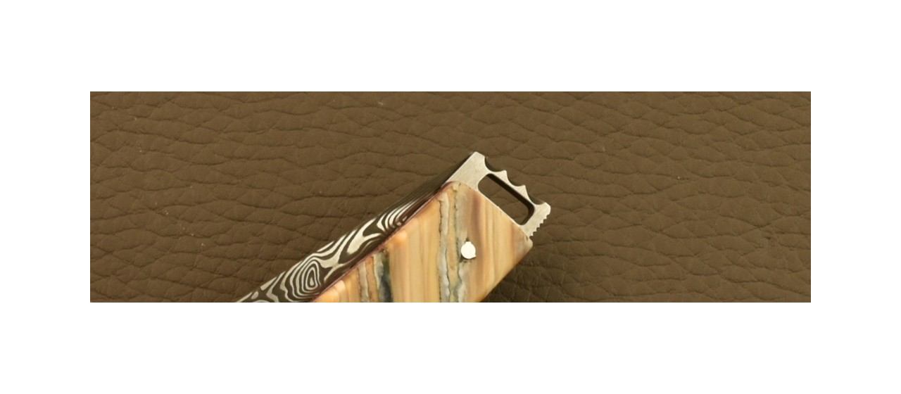 Couteau Le Thiers® Pocket Damas Molaire de Mammouth