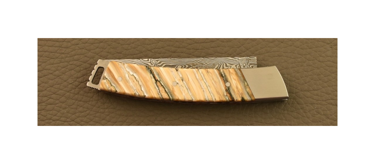 Le Thiers® Pocket Knife Damascus Molar tooth of Mammoth