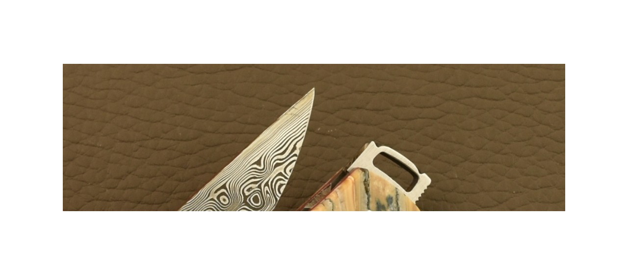 Le Thiers® Nature Knife Damascus Molar tooth of Mammoth