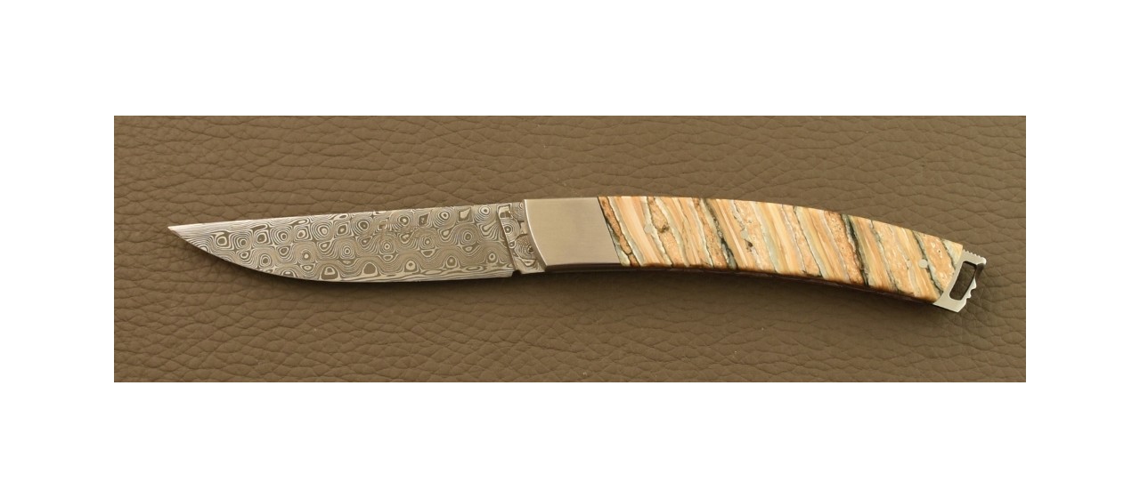 Le Thiers® Nature Knife Damascus Molar tooth of Mammoth