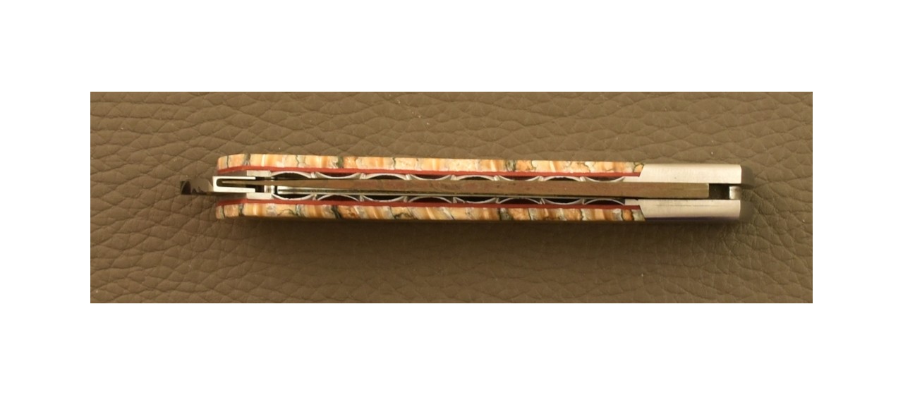 Couteau Le Thiers® Nature Damas Molaire de mammouth