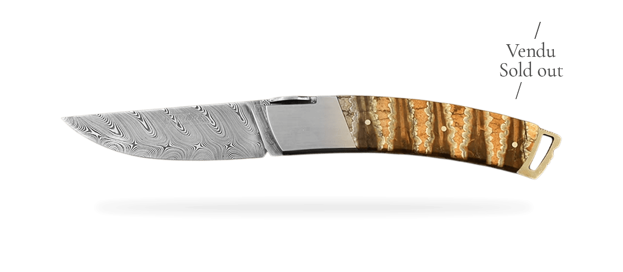 Le Thiers® Gentleman Damas Molaire de mammouth