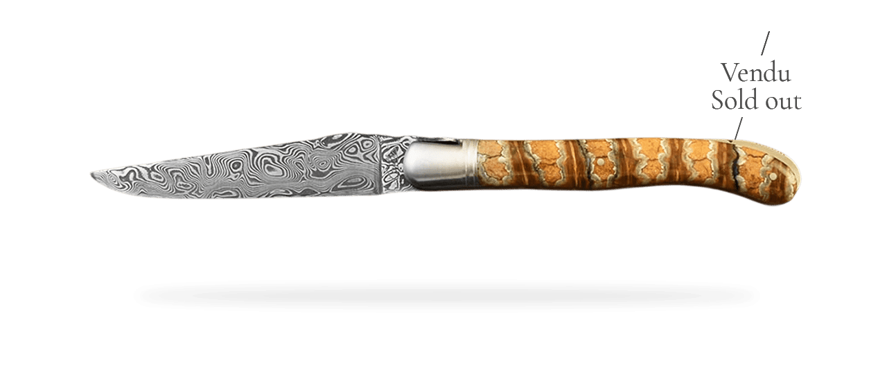 Laguiole Nature Damascus Range Molar tooth of Mammoth